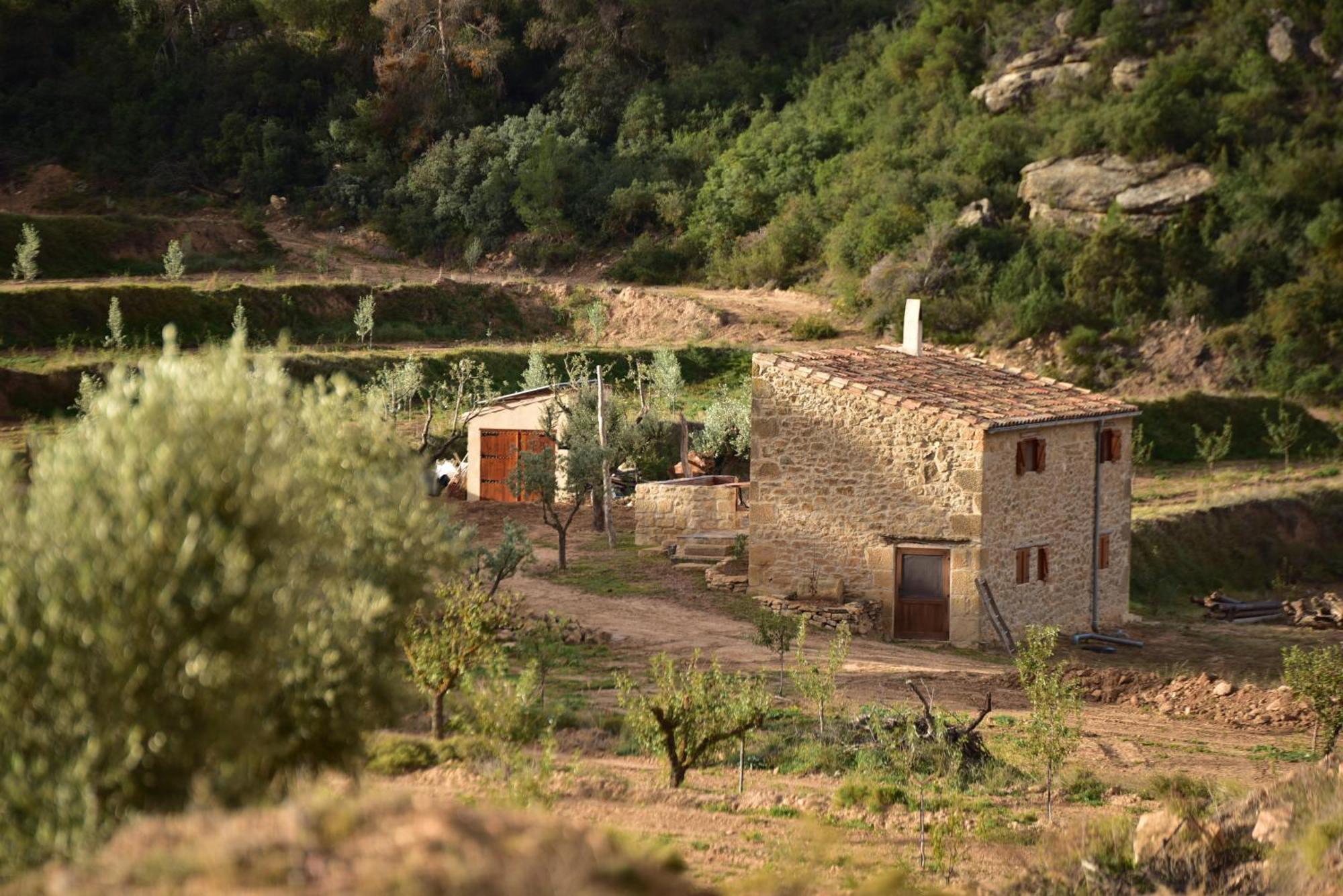 Casa La Rabosa Maella Aragon Villa Екстериор снимка